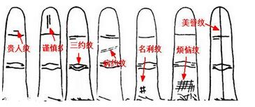 無名指四節紋|手相大全——指紋